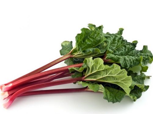 Health Benefits of Rhubarb 