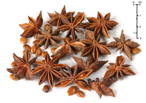 The Advantages of Drinking Star Anise Pods 